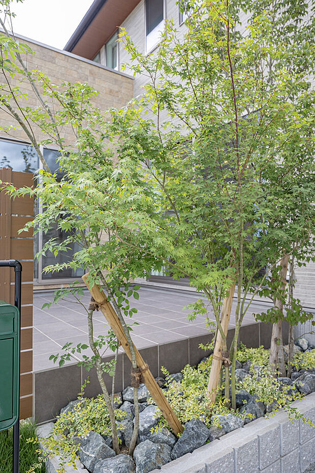 【植栽】美しい植栽がお出迎え。