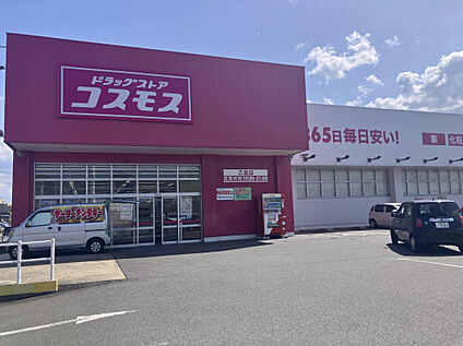 ドラッグストアコスモス乙金店 1000m