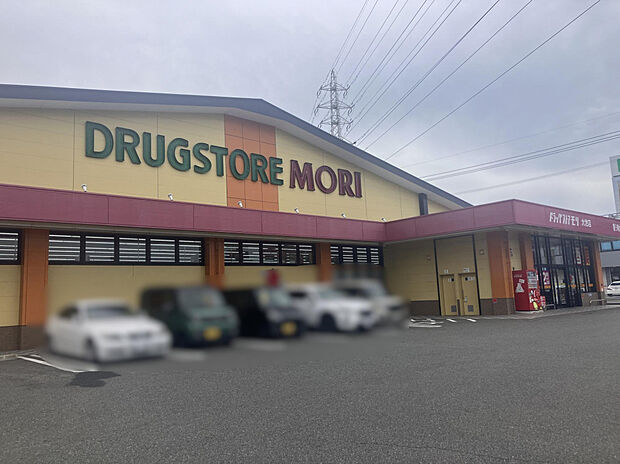 ドラッグストアモリ大池店（約750m）