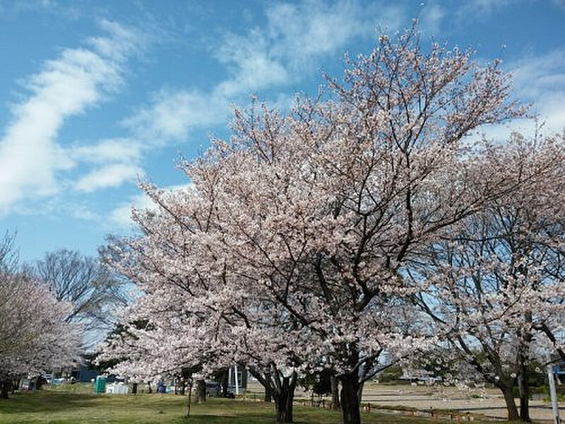 【レジャー】加須はなさき公園