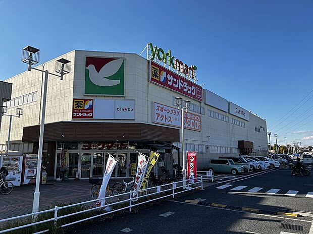 ヨークマート入間店(約260m)