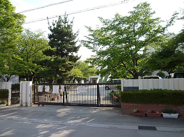 立野小学校（約800m）