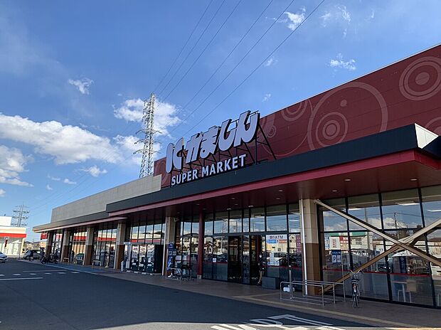 かましん栃木平柳店(約470m)