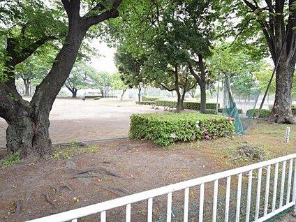 三山公園 約700m(徒歩9分)