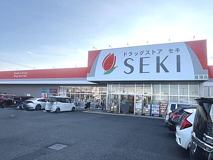 ドラックストアセキ薬品 820ｍ(徒歩11分)