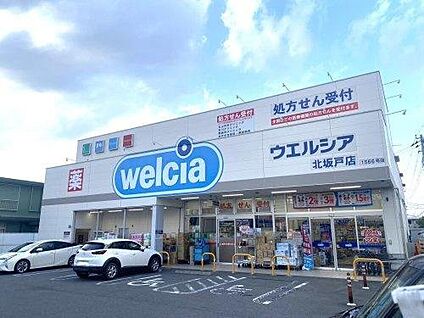 ウエルシア北坂戸店 約1,090m(徒歩約14分)