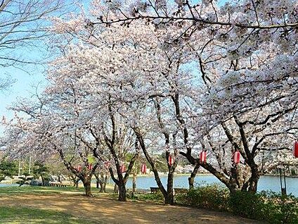 水城公園 約500m～520m(徒歩約7分)