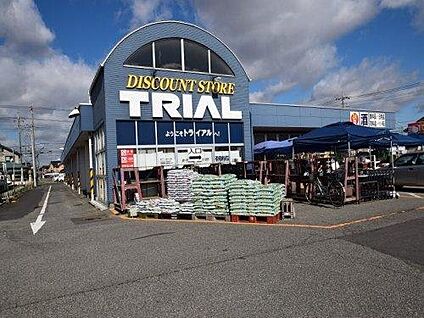 トライアル館林店 約980m(徒歩13分)