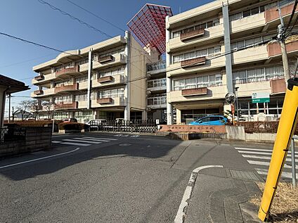 宇都宮市立富士見小学校 565ｍ(徒歩8分)