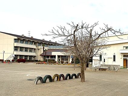 下妻市立宗道小学校 870ｍ(徒歩11分)