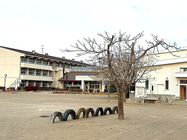下妻市立宗道小学校(約870m)