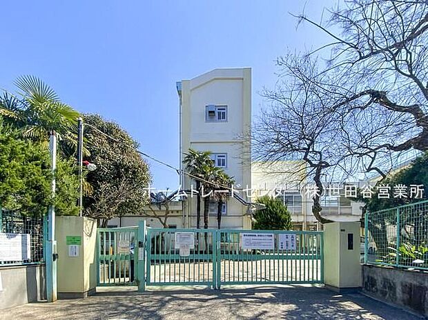 杉並区立西田小学校（約300m）