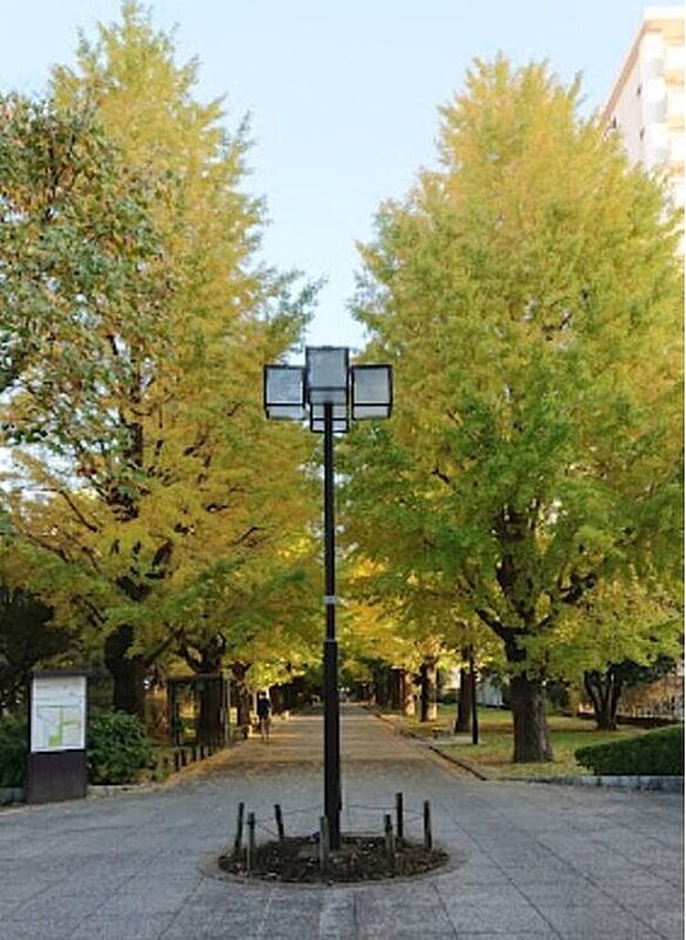 夏の雲公園(約1,000m)