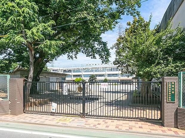 三鷹市立中原小学校(約750m)