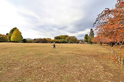 立野公園 1000m(徒歩13分)