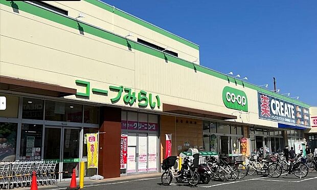 コープ柴崎店(約490m)