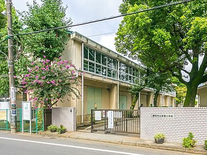 調布市立若葉小学校 600m (徒歩8分)