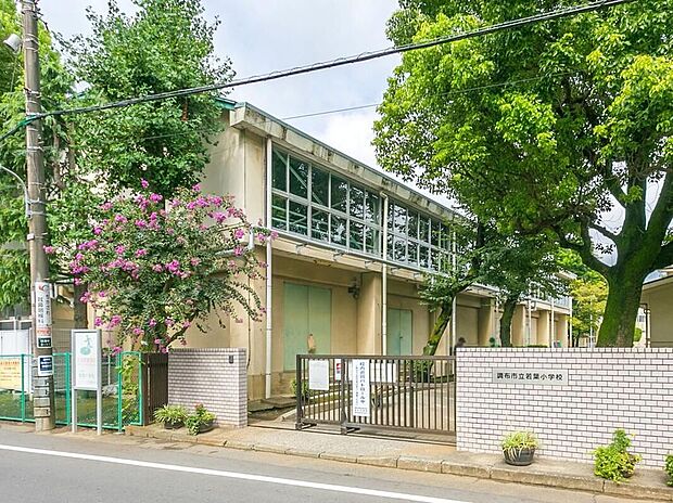 調布市立若葉小学校(約600m)