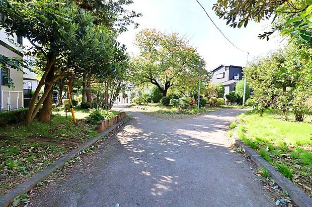 野川緑地公園(約800m)