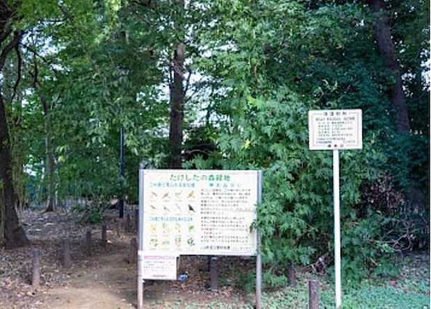たけしたの森緑地(約850m)