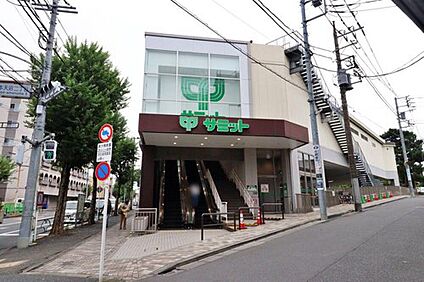 サミットストア本天沼店 800ｍ(徒歩10分)