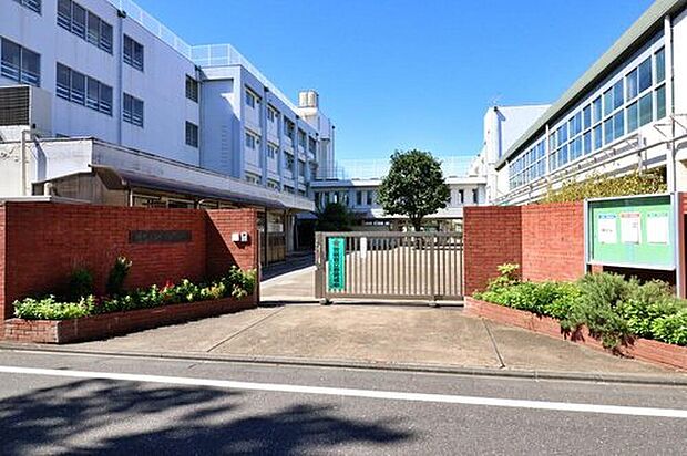 練馬区立三原台中学校（約504m）