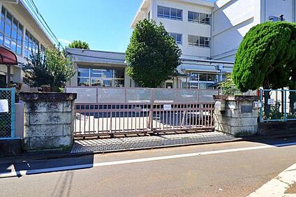練馬区立泉新小学校 372m (徒歩5分)