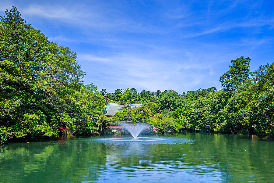 井の頭恩賜公園