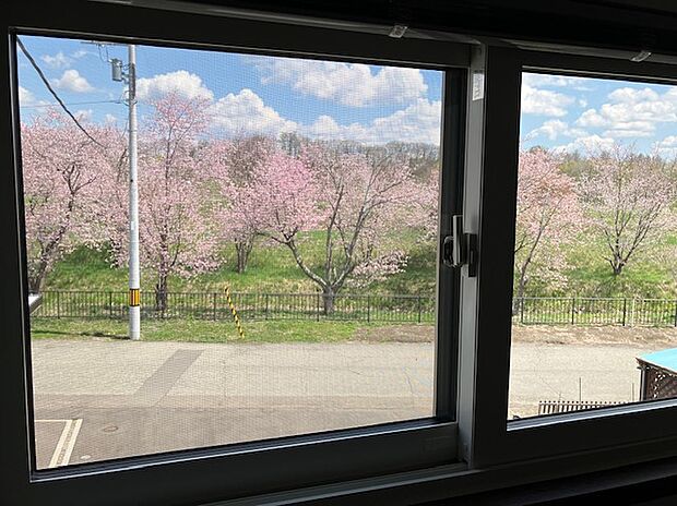 主寝室からの風景。桜並木を眺めることができます♪（2025年5月撮影）