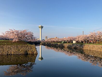 五稜郭公園 徒歩17分