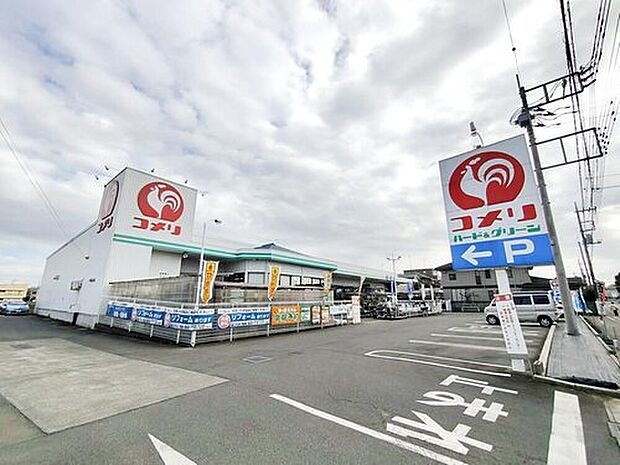 コメリハード&グリーン羽沢店(約870m)