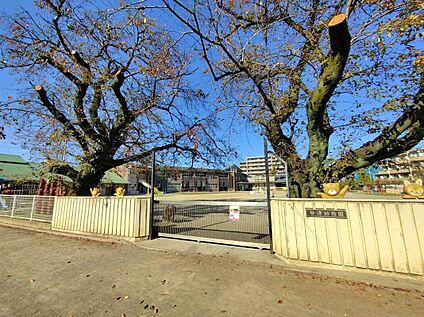 認定こども園谷津幼稚園 520m(徒歩7分)