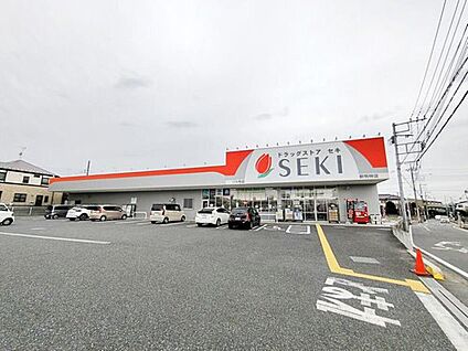 ドラッグストアセキ新駒林店 400m(徒歩5分)