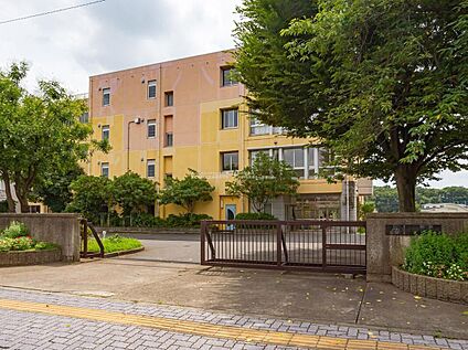 ふじみ野市立東原小学校 1500m (徒歩19分)