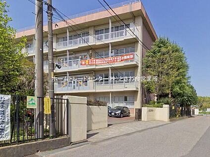 朝霞市立朝霞第三中学校 1000m(徒歩13分)