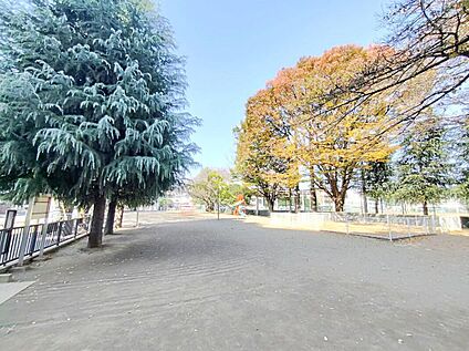 北朝霞公園 2401m(徒歩31分/自転車10分)