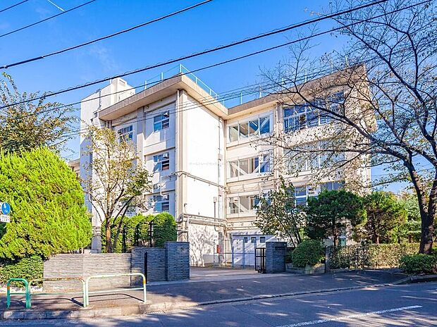 練馬区立八坂中学校（約290m）