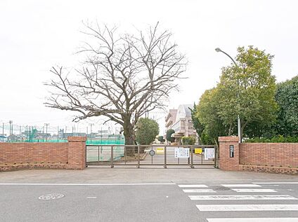 ふじみ野市立大井東中学校 1000ｍ(徒歩13分)