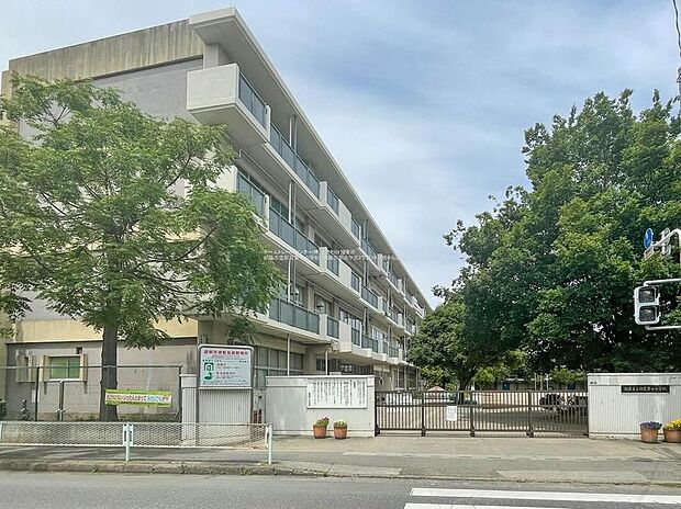 朝霞市立朝霞第七小学校(約550m)