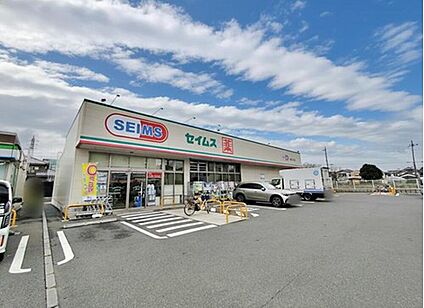 ドラッグセイムス練馬大泉店 1090m (徒歩14分)