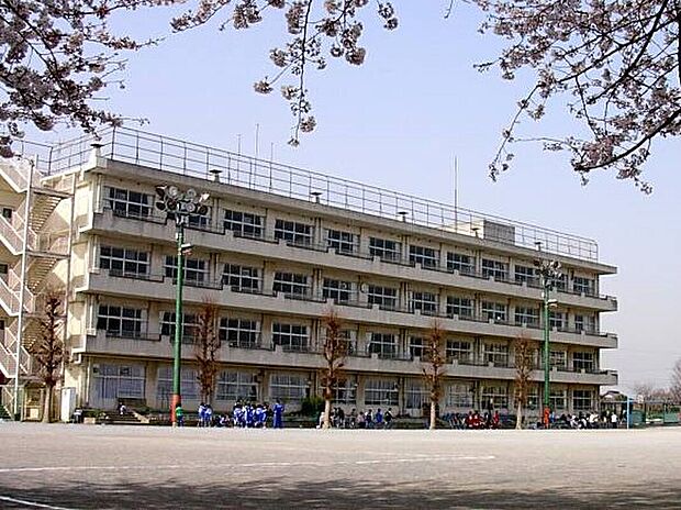 市川市立柏井小学校 (約585m)