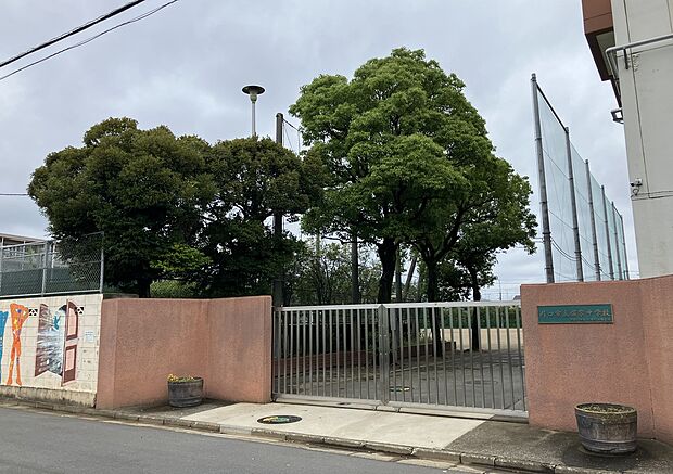 川口市立領家中学校