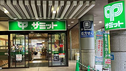 サミットストア川口エルザタワー店 約770～900m(徒歩10～12分)