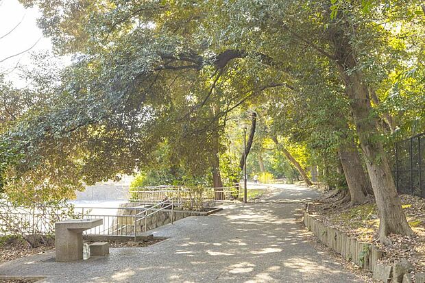 中野区立江古田の森公園(約640m)