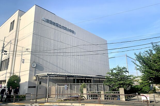 世田谷区立代沢小学校
