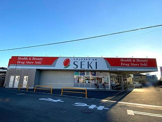 ドラッグストアセキ岩槻太田店（約1,018m）