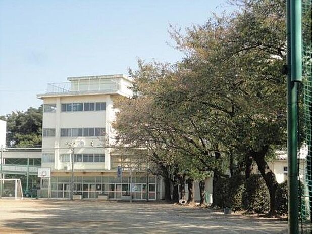 川口市立安行中学校（約500m）