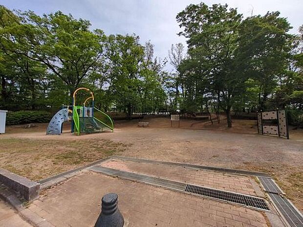 舟山公園（約900m）