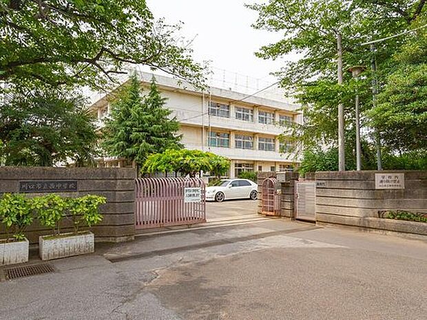 川口市立西中学校（約550m）