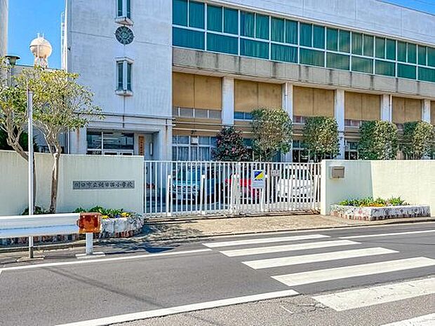 川口市立朝日西小学校(約240m)